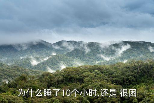為什么睡了10個小時,還是 很困