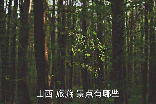 名山旅游景點大全,山西因喬家大院而得名歷史文化底蘊深厚