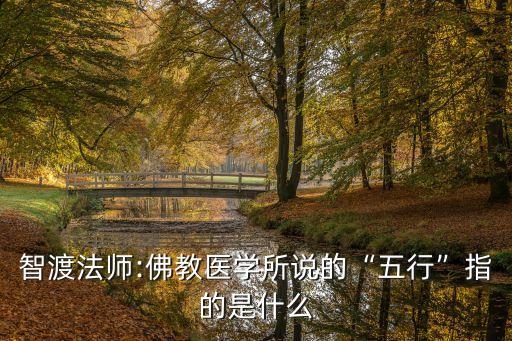 佛醫(yī),佛教五行說:我開悟了?