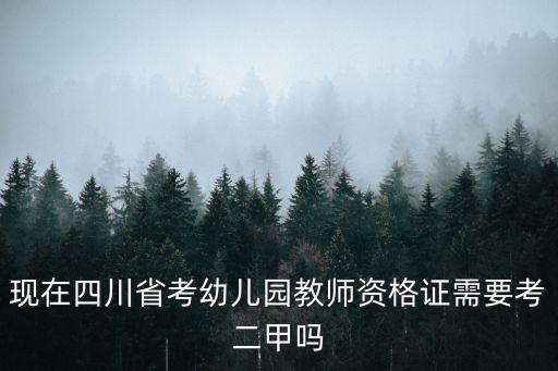 現在四川省考幼兒園教師資格證需要考二甲嗎