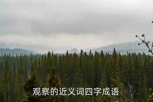 觀察的近義詞四字成語