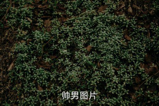 帥男圖片