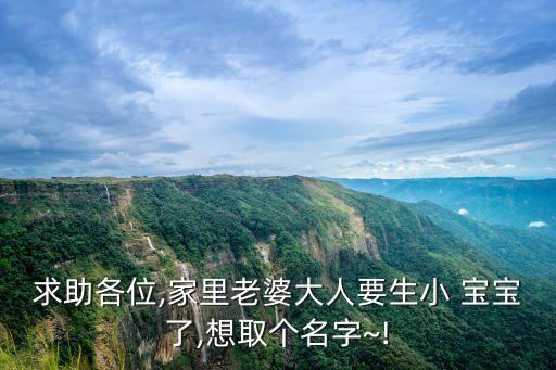 求助各位,家里老婆大人要生小 寶寶了,想取個名字~!