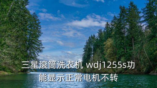 三星滾筒洗衣機 wdj1255s功能顯示正常電機不轉