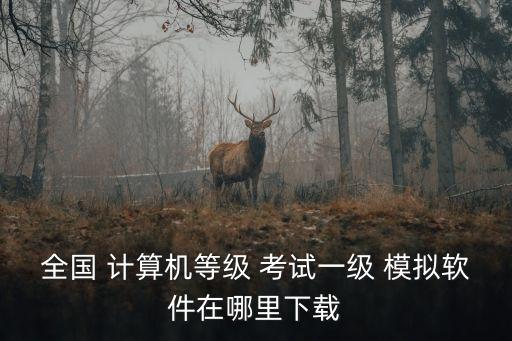全國(guó) 計(jì)算機(jī)等級(jí) 考試一級(jí) 模擬軟件在哪里下載