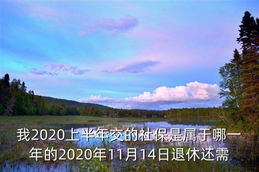 我2020上半年交的社保是屬于哪一年的2020年11月14日退休還需