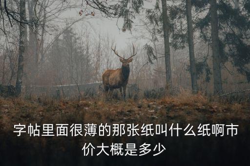  字帖里面很薄的那張紙叫什么紙啊市價大概是多少