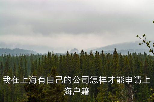 我在上海有自己的公司怎樣才能申請上海戶籍