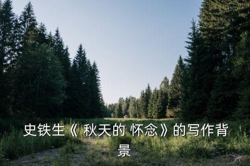  史鐵生《 秋天的 懷念》的寫作背景