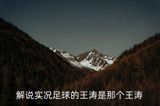 解說實況足球的王濤是那個王濤