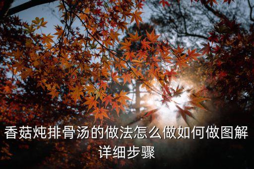 香菇燉排骨湯的做法怎么做如何做圖解詳細(xì)步驟