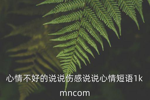 心情不好的說說傷感說說心情短語1kmncom