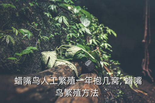 蠟嘴鳥,【有獎!年度最佳觀賞鳥類獎得主將獲獎