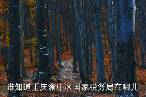 誰知道重慶渝中區國家稅務局在哪兒