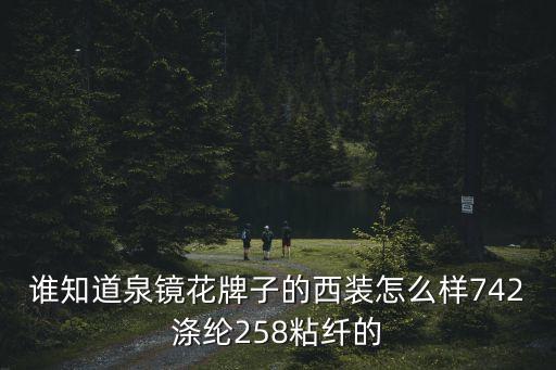 誰知道泉鏡花牌子的西裝怎么樣742滌綸258粘纖的