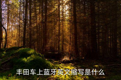 豐田車上藍牙英文縮寫是什么