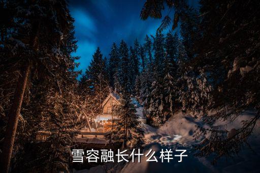 雪融融,北京殘奧會吉祥物雪絨絨造型如下圖