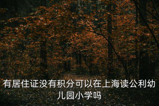 有居住證沒有積分可以在上海讀公利幼兒園小學嗎
