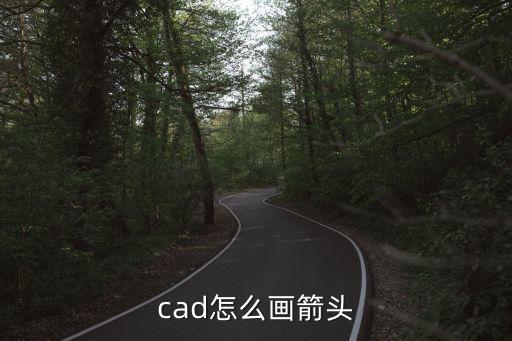 cad怎么畫箭頭