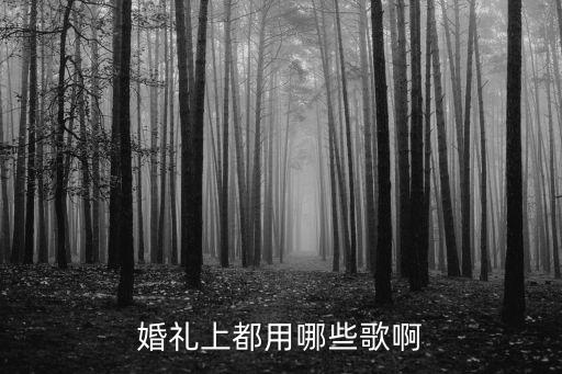 婚禮上都用哪些歌啊