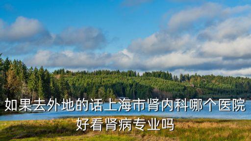 如果去外地的話上海市腎內科哪個醫院好看腎病專業嗎