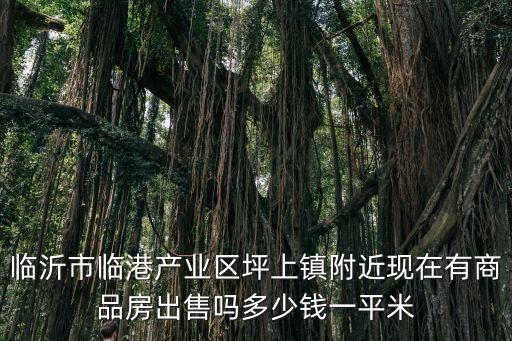臨沂市臨港產(chǎn)業(yè)區(qū)坪上鎮(zhèn)附近現(xiàn)在有商品房出售嗎多少錢(qián)一平米