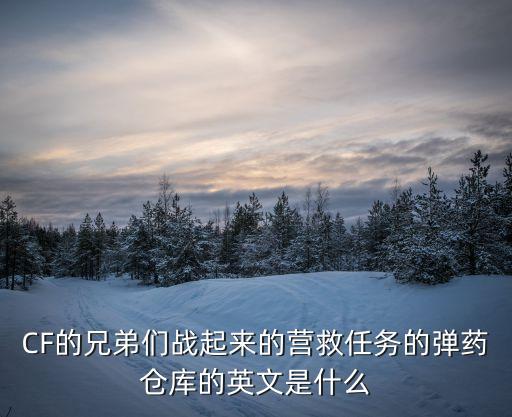 CF的兄弟們戰起來的營救任務的彈藥倉庫的英文是什么