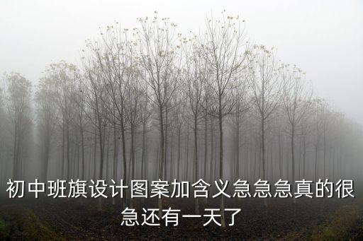 初中班旗設計圖案加含義急急急真的很急還有一天了