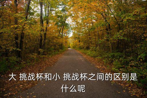 大 挑戰杯和小 挑戰杯之間的區別是什么呢