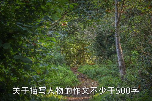 描寫人物的作文500字，寫人作文500字