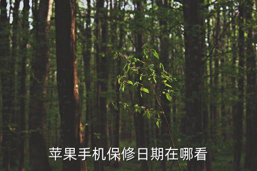 蘋果手機保修日期在哪看