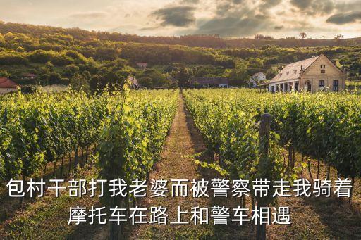 包村干部打我老婆而被警察帶走我騎著摩托車在路上和警車相遇