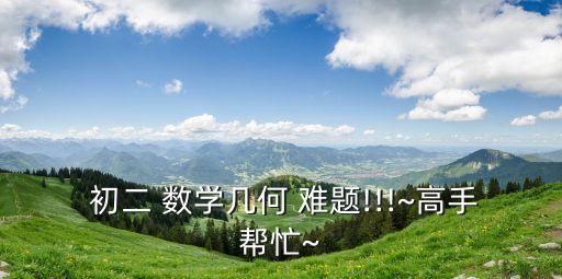 初二數學難題,直角三角形的解析