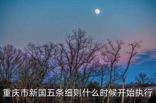 重慶市新國五條細則什么時候開始執行