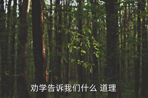 勸學告訴我們什么 道理