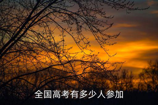 全國(guó)高考有多少人參加
