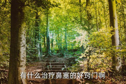 如何治鼻塞小竅門，有什么治療鼻塞的好竅門啊