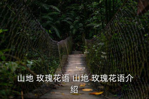  山地 玫瑰花語 山地 玫瑰花語介紹