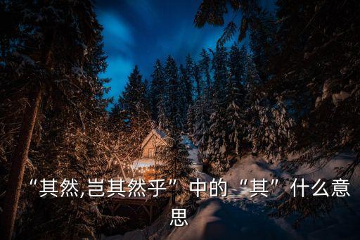 “其然,豈其然乎”中的“其”什么意思