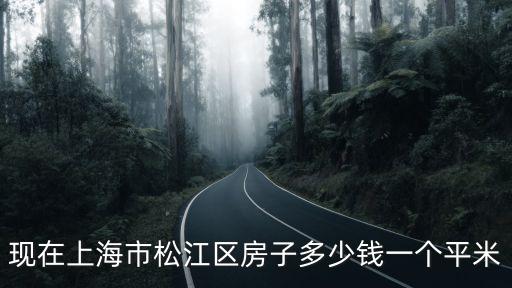 現在上海市松江區房子多少錢一個平米
