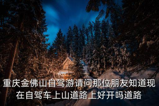 重慶金佛山自駕游請(qǐng)問那位朋友知道現(xiàn)在自駕車上山道路上好開嗎道路