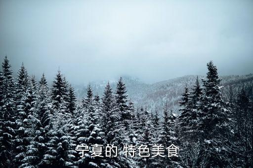  寧夏的 特色美食