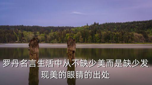 羅丹名言生活中從不缺少美而是缺少發現美的眼睛的出處