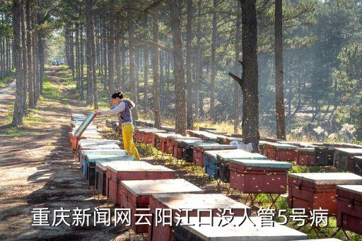 重慶新聞網云陽江口沒人管5號病