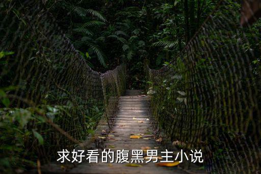 求好看的腹黑男主小說