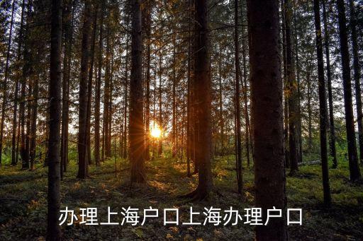 辦理上海戶口上海辦理戶口
