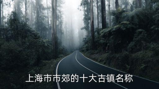 上海市市郊的十大古鎮名稱