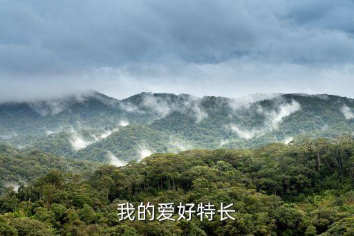 我的愛好特長