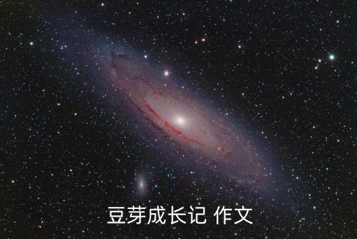  豆芽成長(zhǎng)記 作文