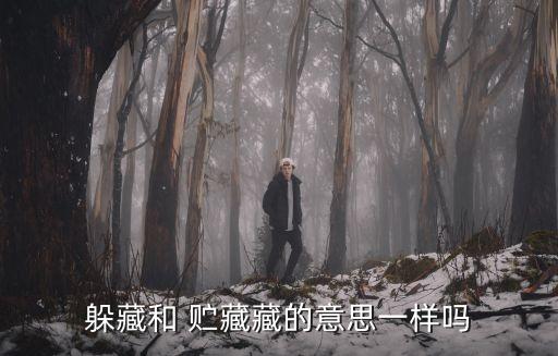 躲藏和 貯藏藏的意思一樣嗎